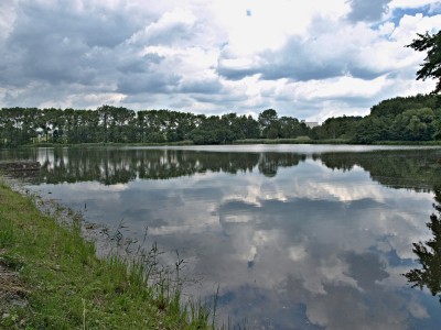 Eckhardtův rybník